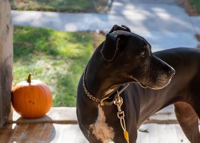 Top Hotels Offering Comfort in Trinidad, Colorado